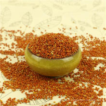 millet sec de millet rouge de millet de maïs de balai de la catégorie comestible pour le gâteau de riz